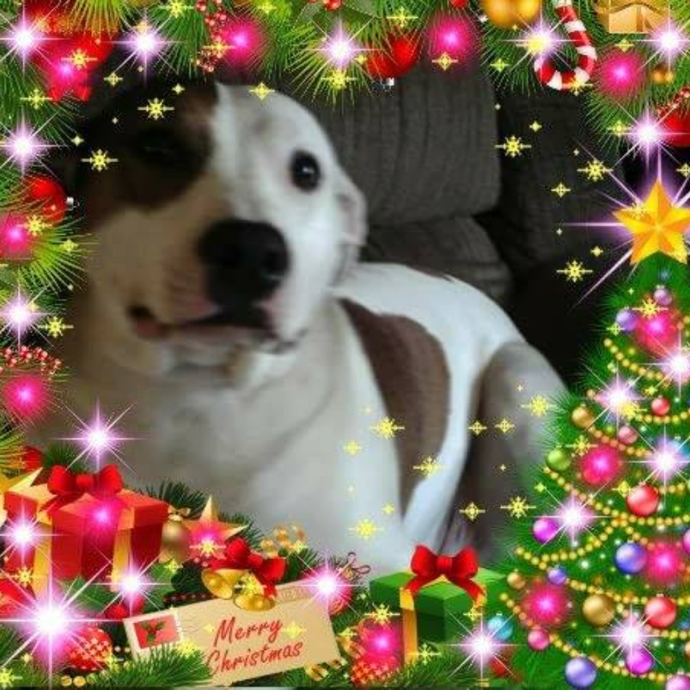 Meet your Posher, Brenda